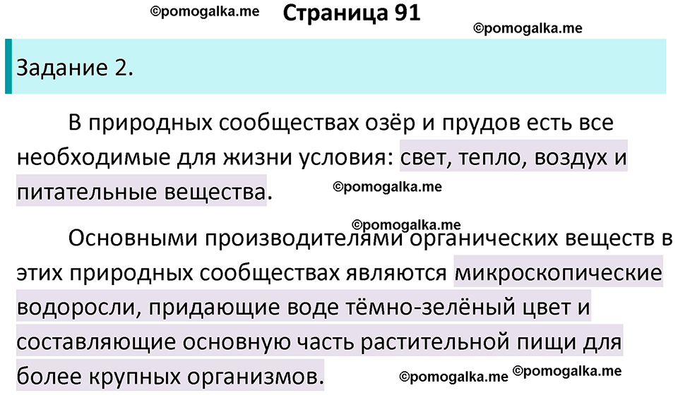 страница 91 биология 5 класс Пасечник, Суматохин рабочая тетрадь 2024 год
