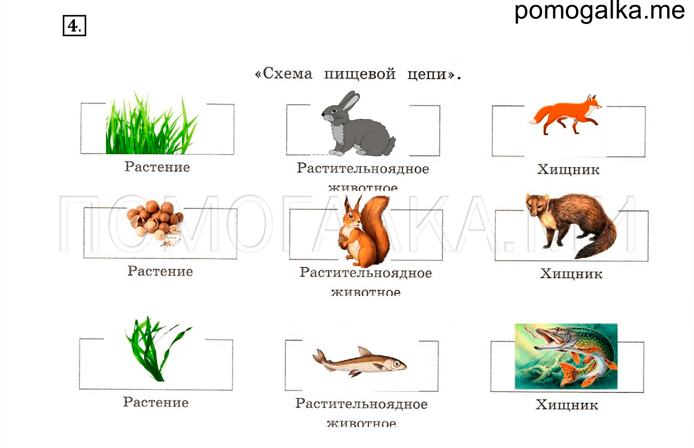 Дополни схему взаимодействия растительного и животного мира растения травоядные животные