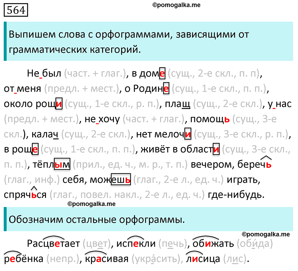Часть 2 страница 64 упражнение 564 русский язык 5 класс Разумовская, Львова, Капинос, Львов 2021