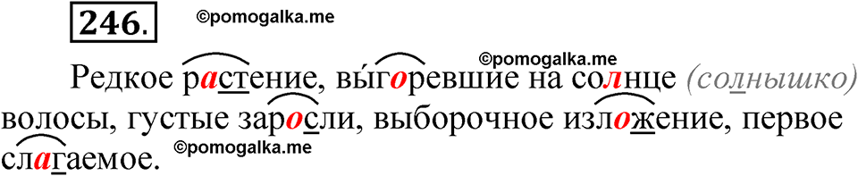 часть 2 страница 113 упражнение 246 русский язык 5 класс Рыбченкова учебник 2023 год