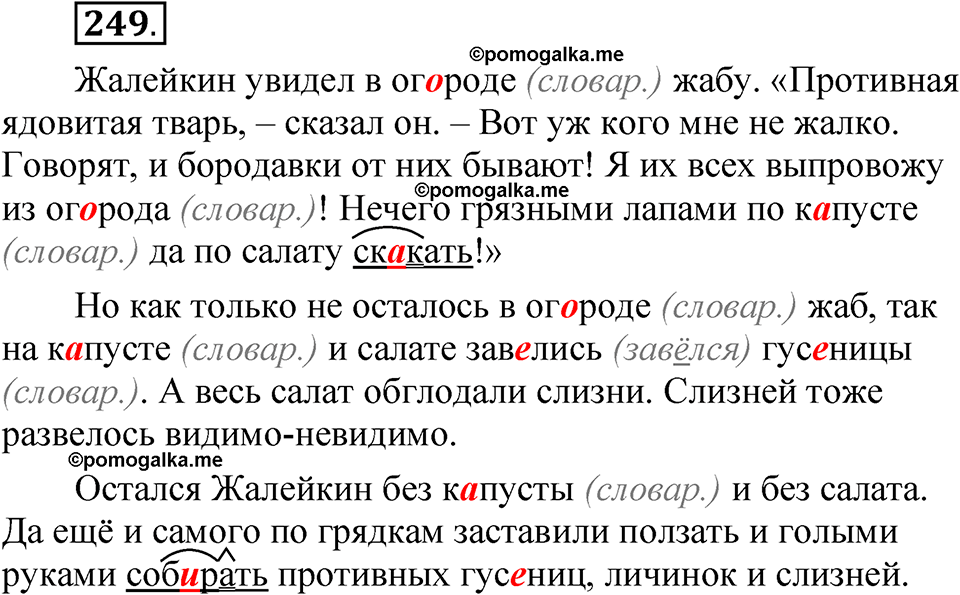 часть 2 страница 113 упражнение 249 русский язык 5 класс Рыбченкова учебник 2023 год
