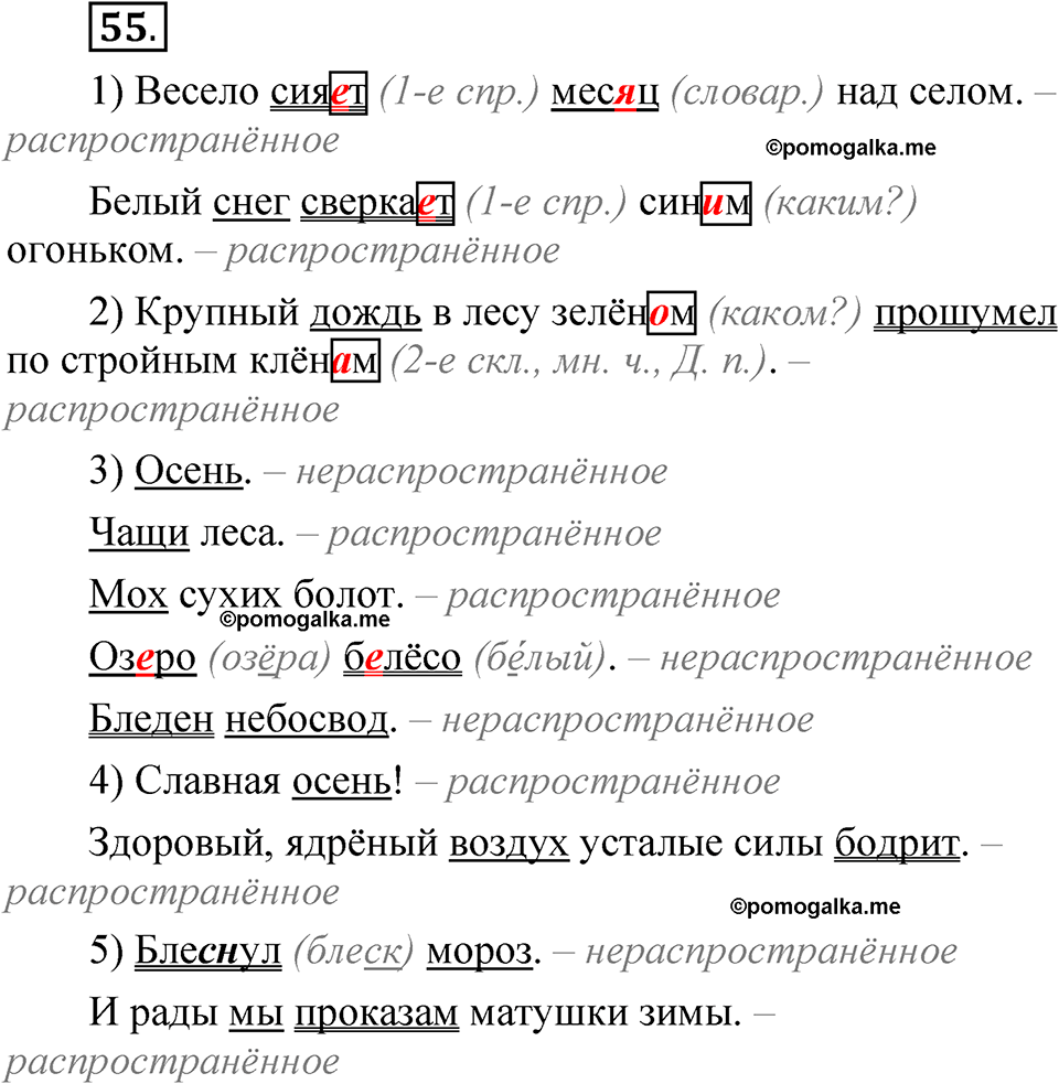 часть 2 страница 31 упражнение 55 русский язык 5 класс Рыбченкова учебник 2023 год