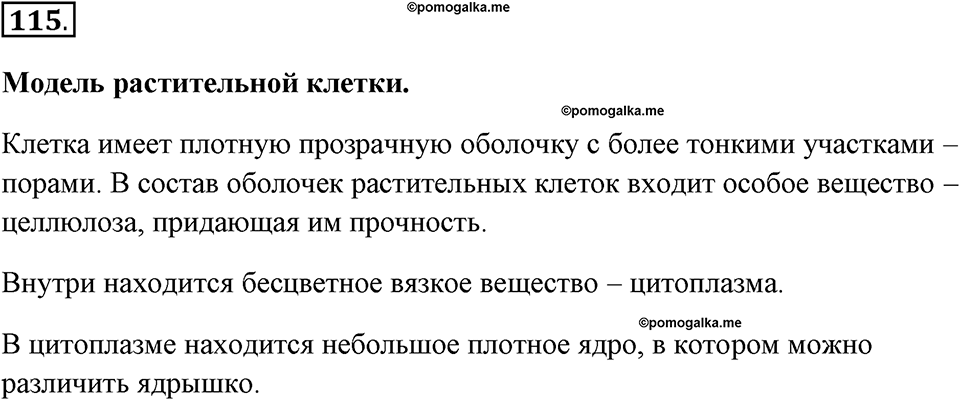 часть 2 страница 5 номер 115 информатика 6 класс Босова рабочая тетрадь 2017 год