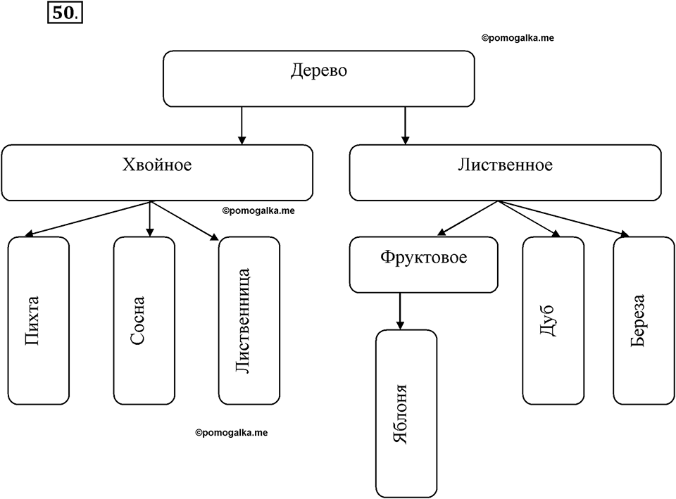 Моя родословная - История - 6 класс