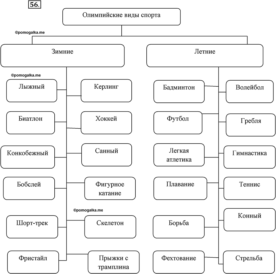 Мини проект по информатике