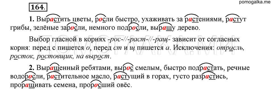 упражнение 164 русский язык 6 класс Быстрова, Кибирева 1 часть 2019 год