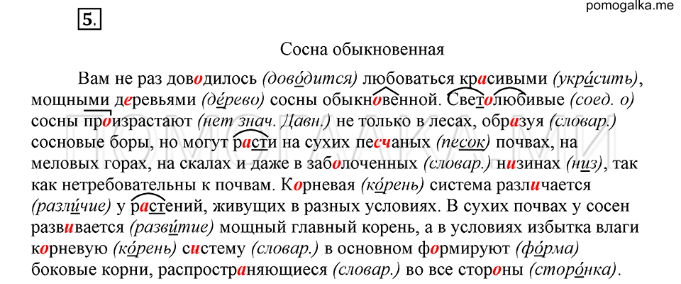 упражнение 5 русский язык 6 класс Быстрова, Кибирева 1 часть 2019 год