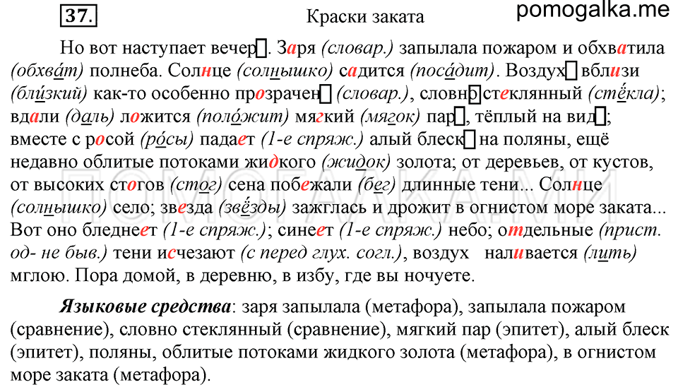 упражнение №37 русский язык 6 класс Ладыженская, Баранов