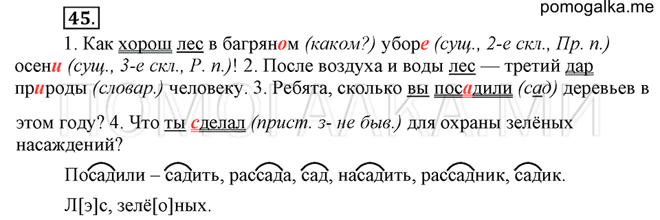 упражнение №45 русский язык 6 класс Ладыженская, Баранов