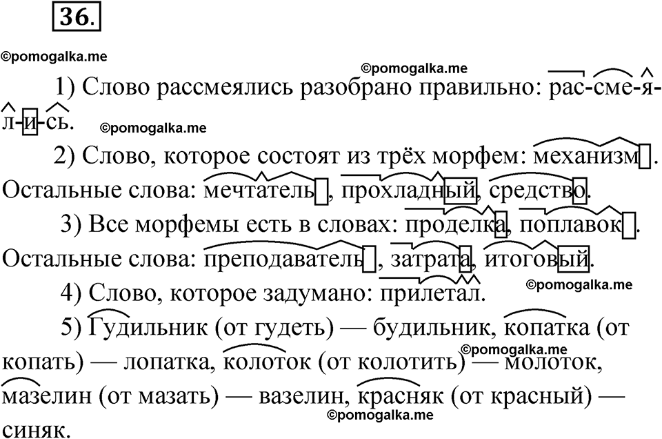 страница 19 упражнение 36 русский язык 6 класс Лидман-Орлова 2022 год