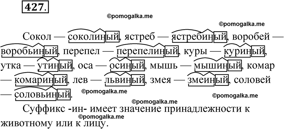 страница 164 упражнение 427 русский язык 6 класс Лидман-Орлова 2022 год