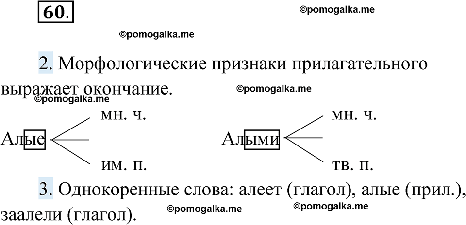 страница 31 упражнение 60 русский язык 6 класс Лидман-Орлова 2022 год