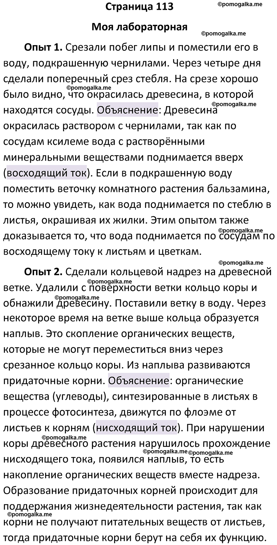 страница 113 биология 6 класс Пасечник, Суматохин учебник 2024 год