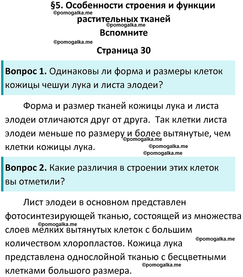 страница 30 биология 6 класс Пасечник, Суматохин учебник 2024 год