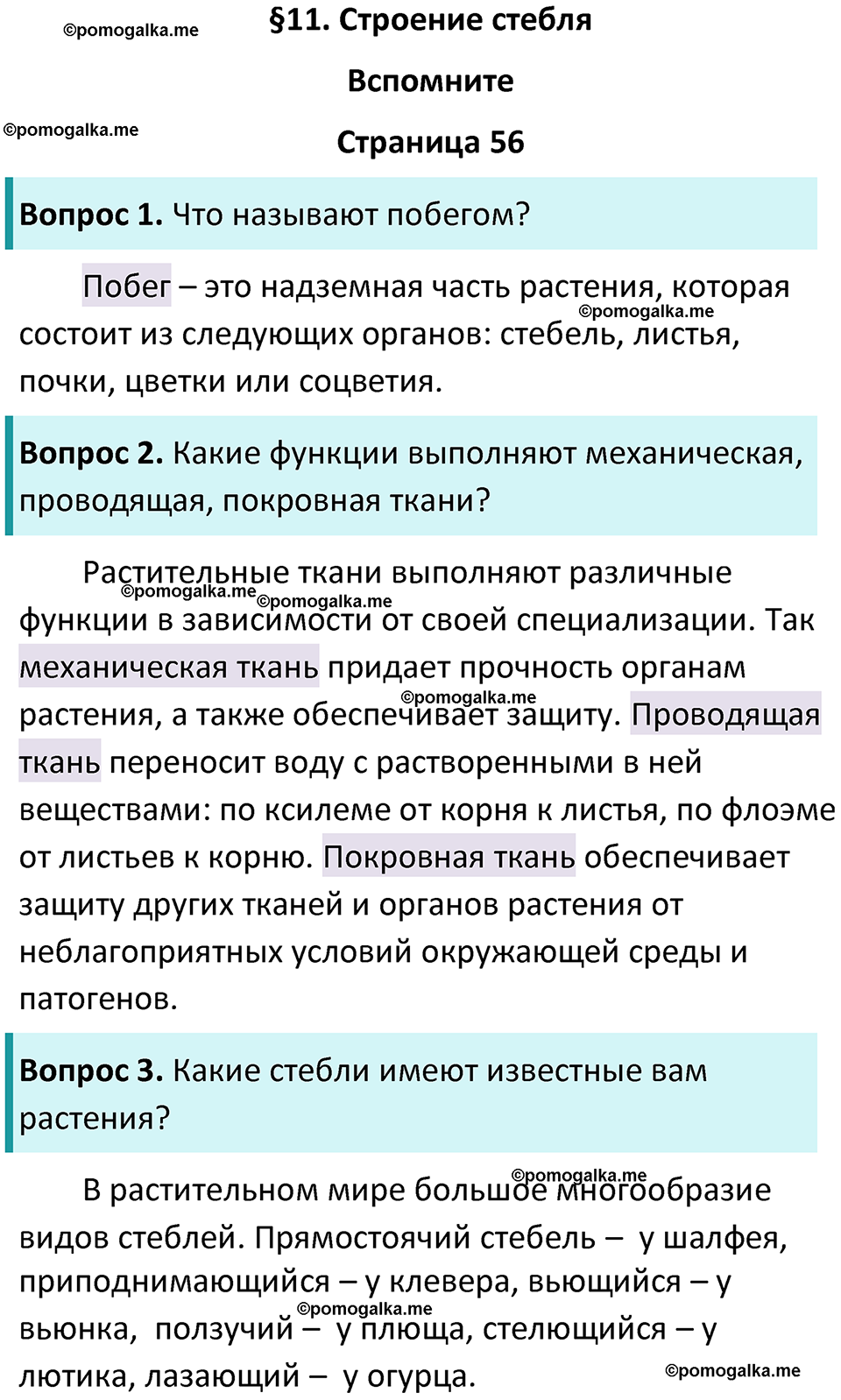 страница 56 биология 6 класс Пасечник, Суматохин учебник 2024 год