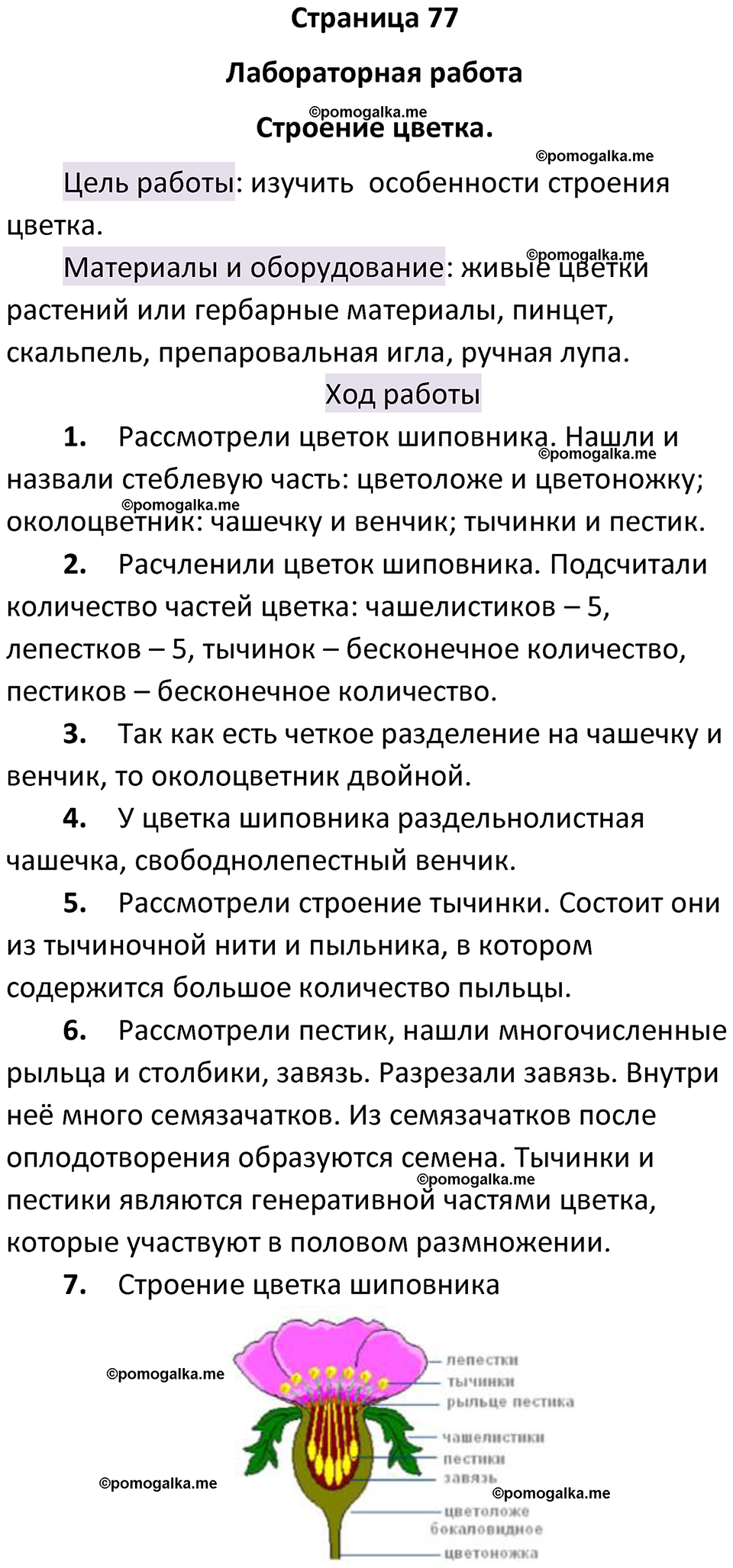 страница 77 биология 6 класс Пасечник, Суматохин учебник 2024 год