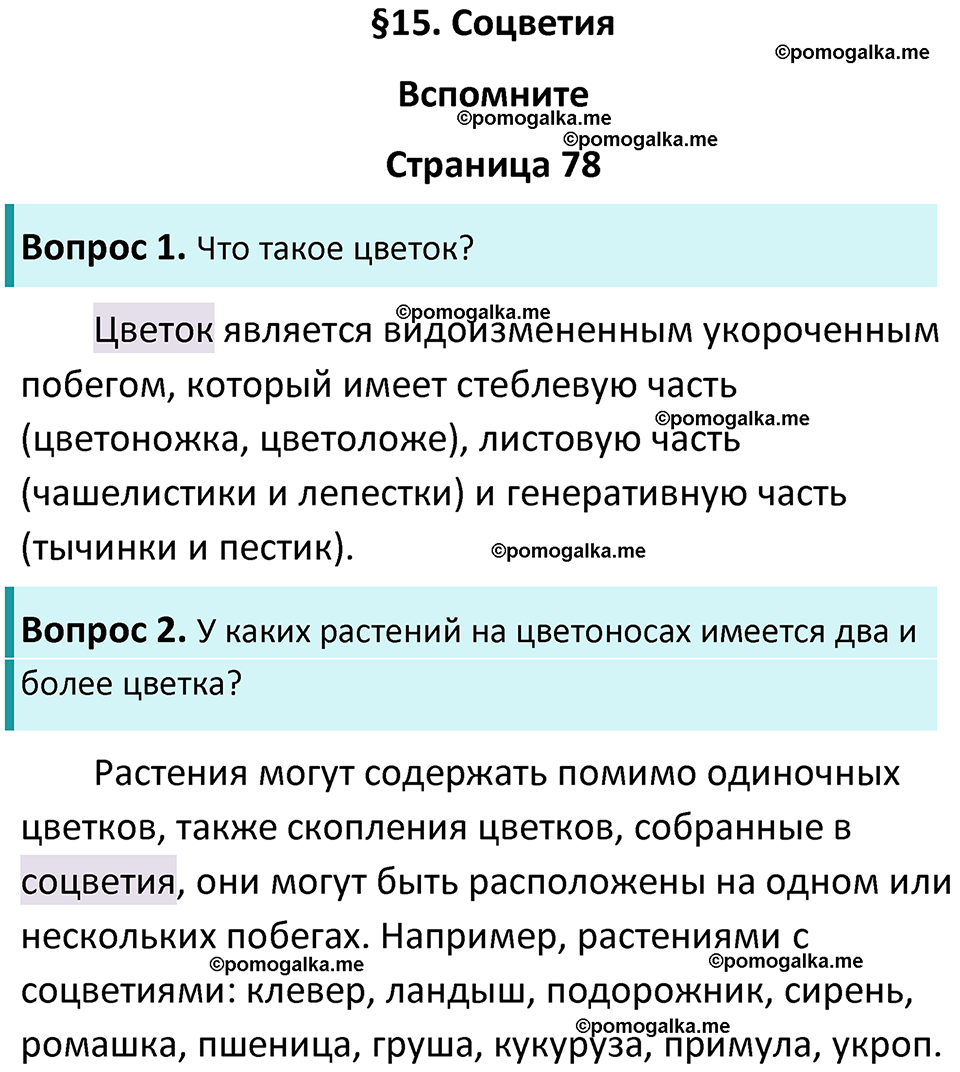 страница 78 биология 6 класс Пасечник, Суматохин учебник 2024 год