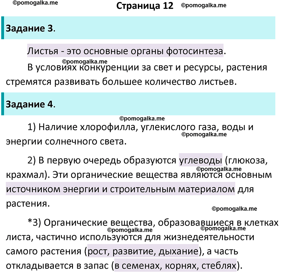 страница 12 биология 6 класс Пасечник, Суматохин рабочая тетрадь 2024 год