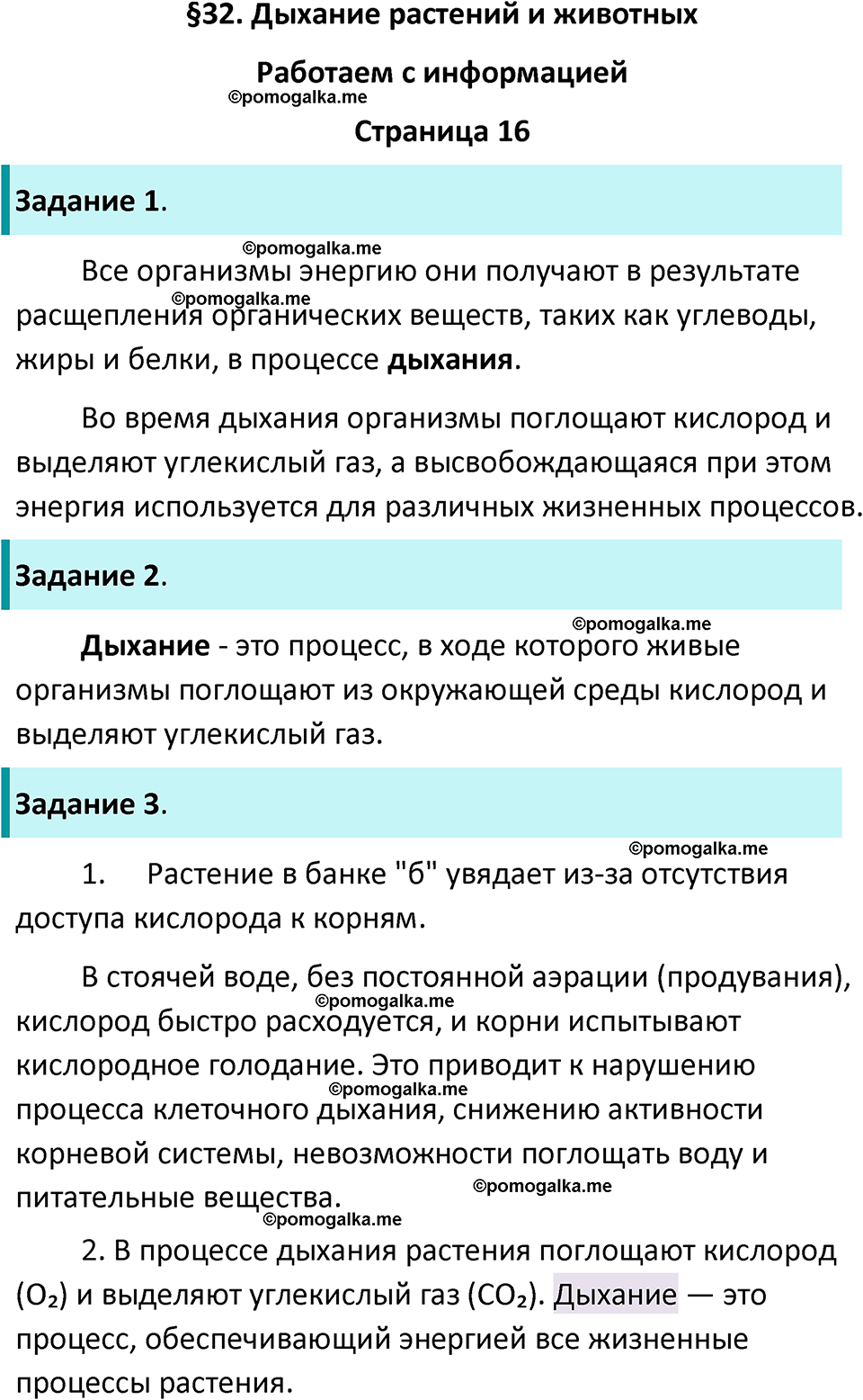 страница 16 биология 6 класс Пасечник, Суматохин рабочая тетрадь 2024 год