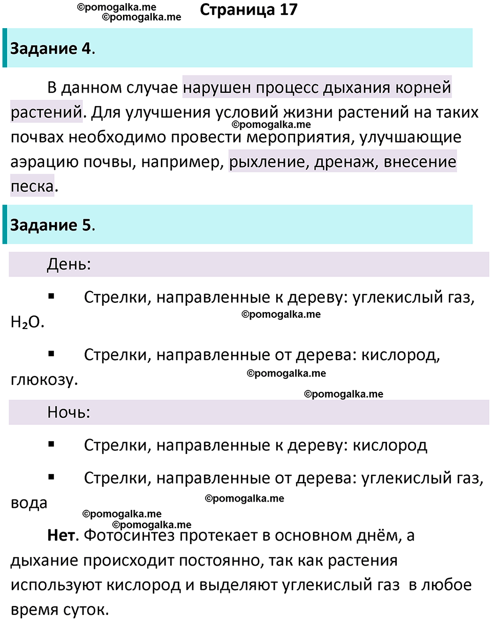 страница 17 биология 6 класс Пасечник, Суматохин рабочая тетрадь 2024 год