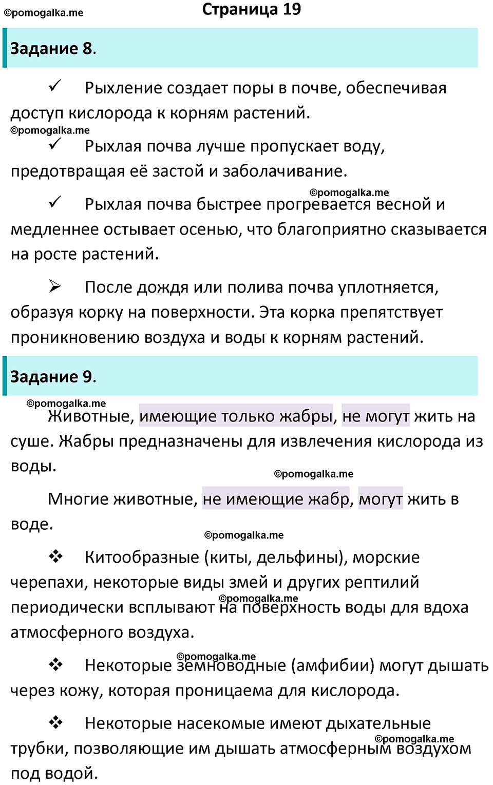 страница 19 биология 6 класс Пасечник, Суматохин рабочая тетрадь 2024 год