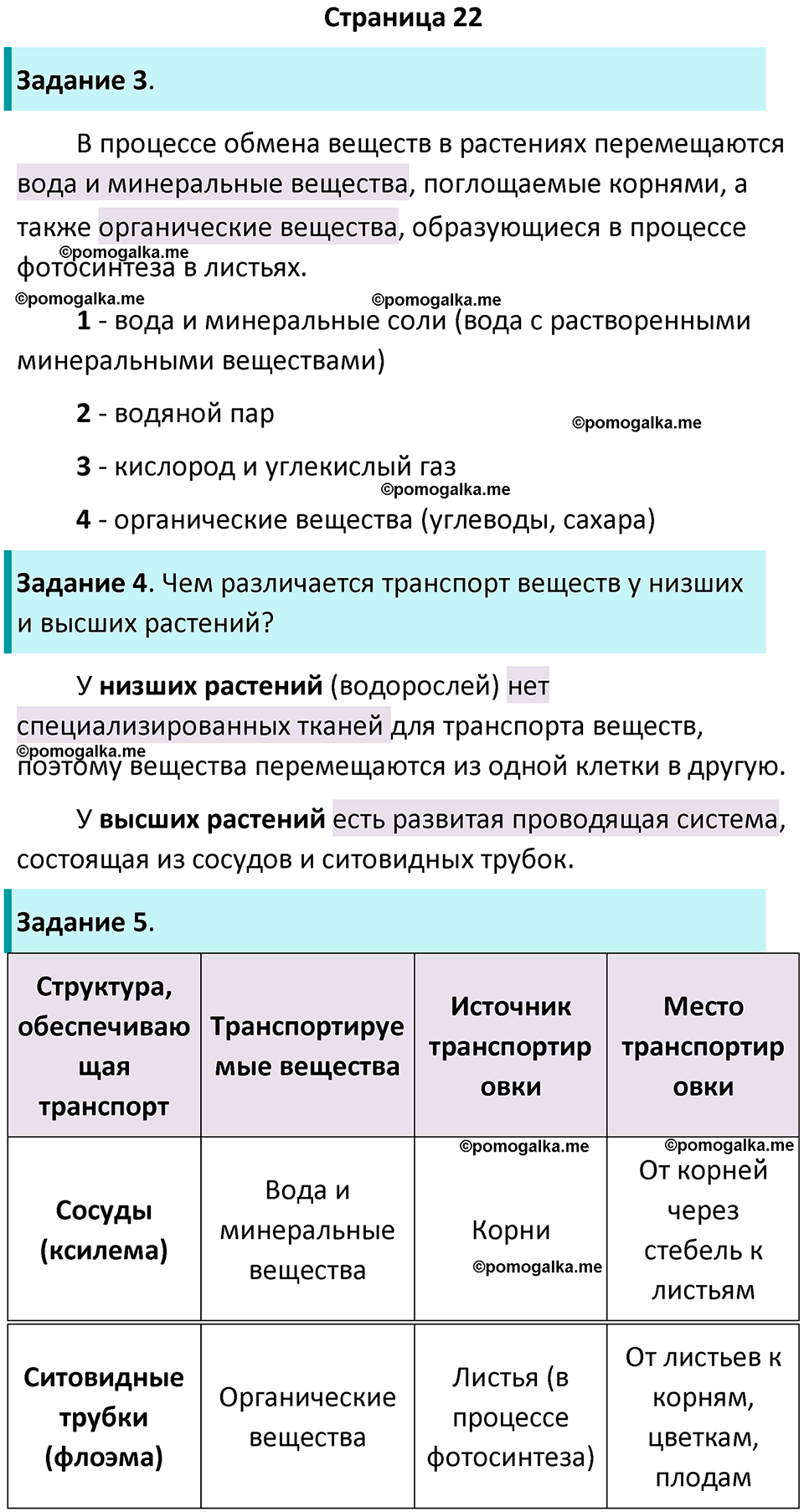 страница 22 биология 6 класс Пасечник, Суматохин рабочая тетрадь 2024 год