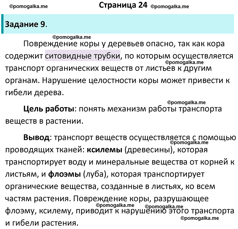 страница 24 биология 6 класс Пасечник, Суматохин рабочая тетрадь 2024 год
