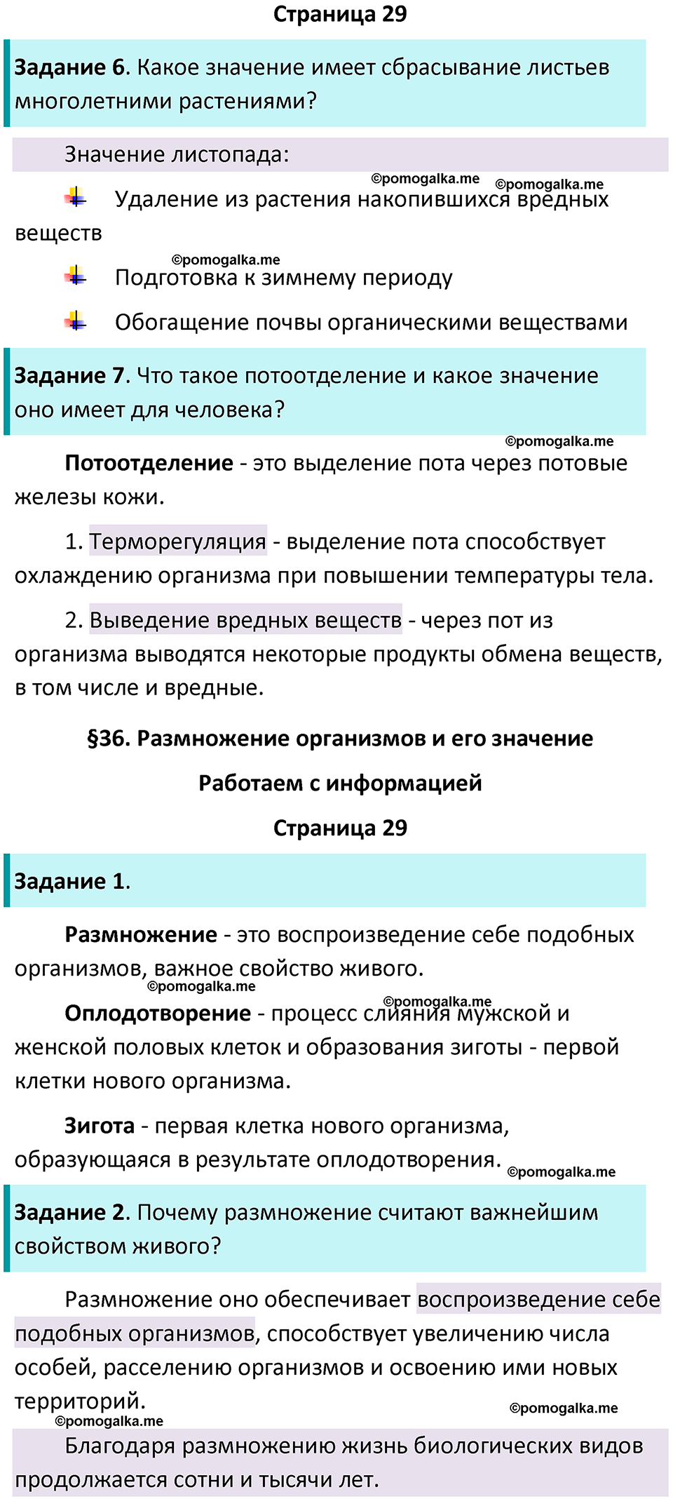 страница 29 биология 6 класс Пасечник, Суматохин рабочая тетрадь 2024 год