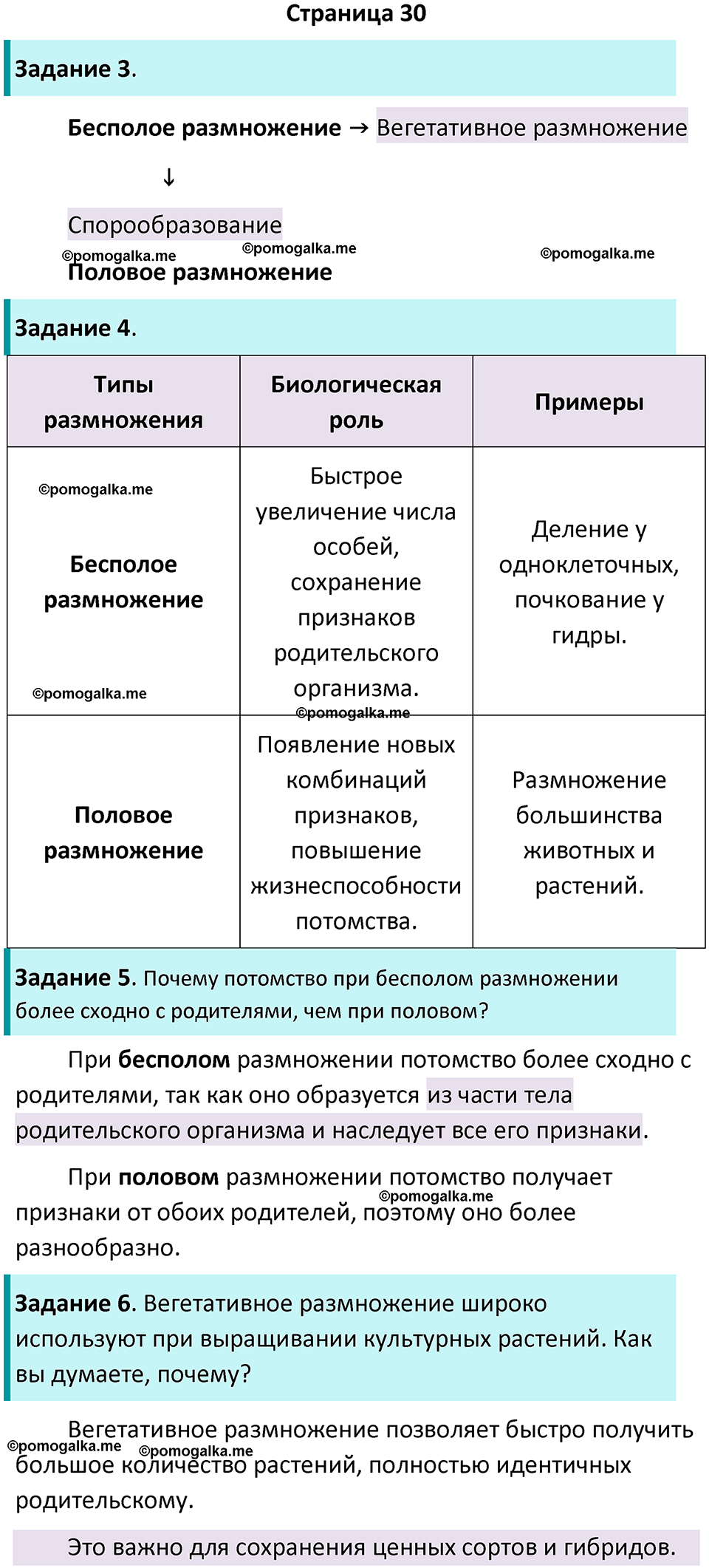 страница 30 биология 6 класс Пасечник, Суматохин рабочая тетрадь 2024 год