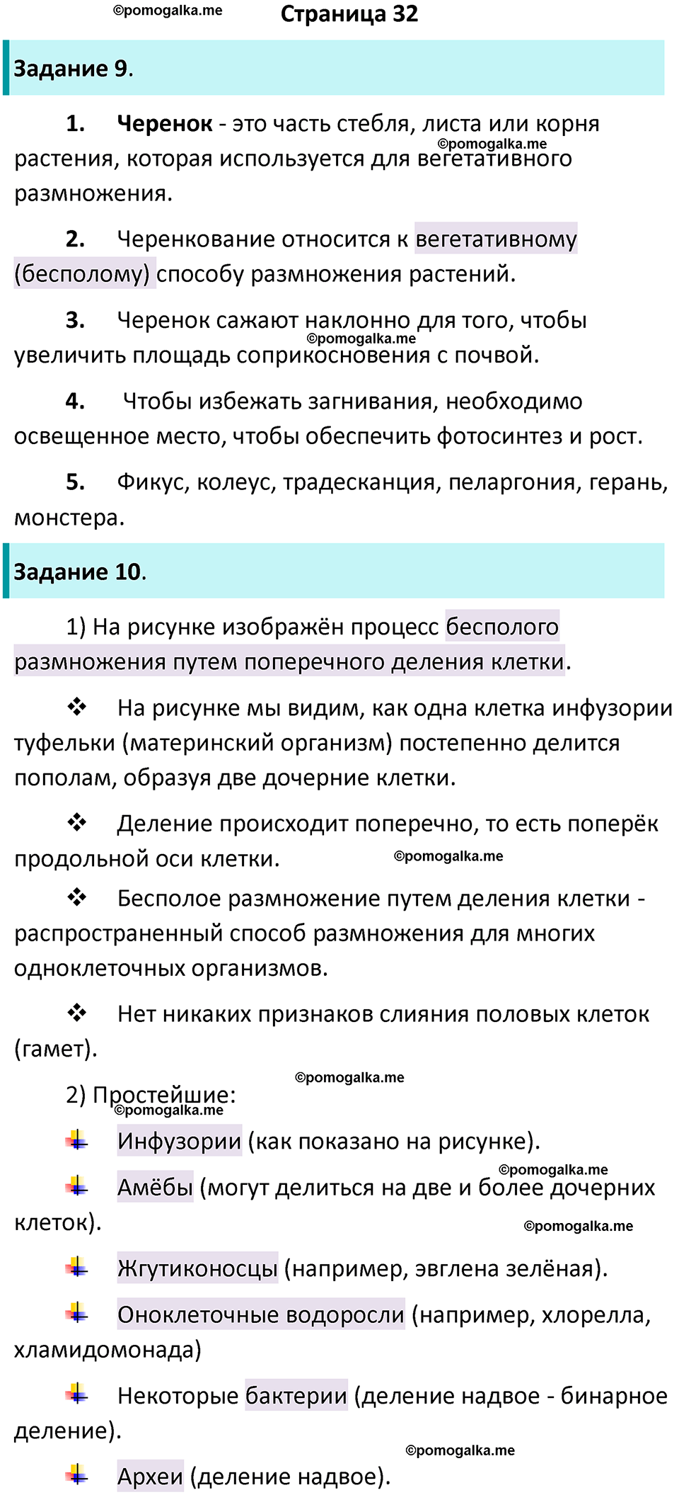страница 32 биология 6 класс Пасечник, Суматохин рабочая тетрадь 2024 год