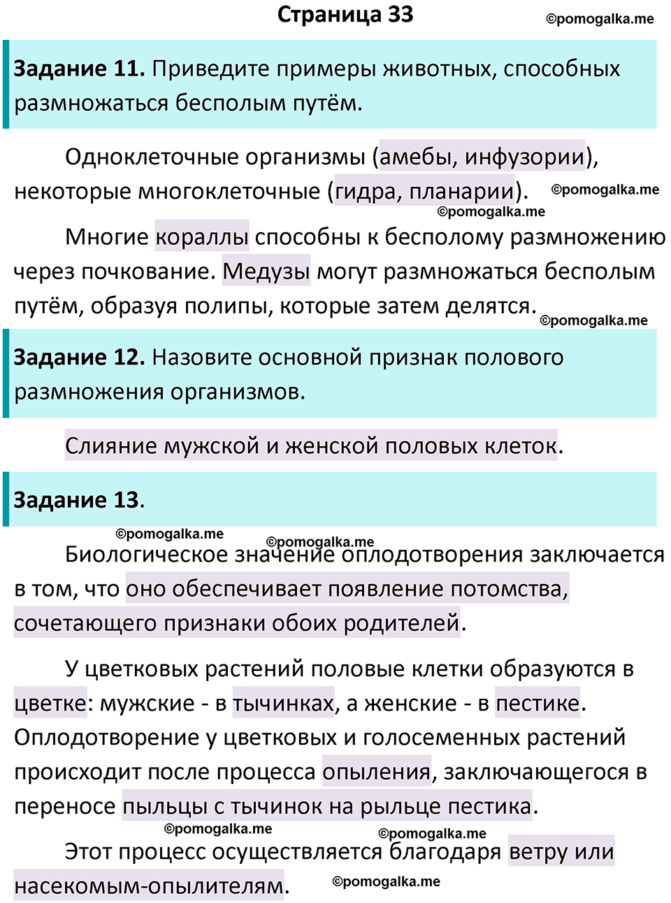 страница 33 биология 6 класс Пасечник, Суматохин рабочая тетрадь 2024 год