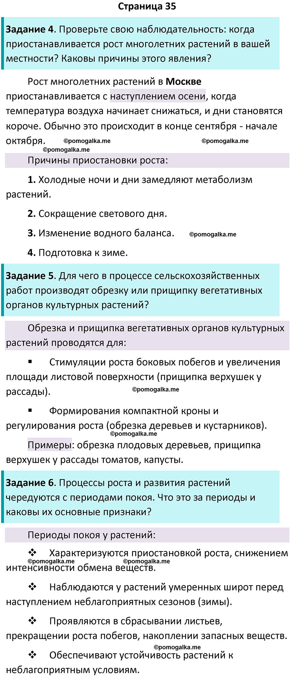страница 35 биология 6 класс Пасечник, Суматохин рабочая тетрадь 2024 год