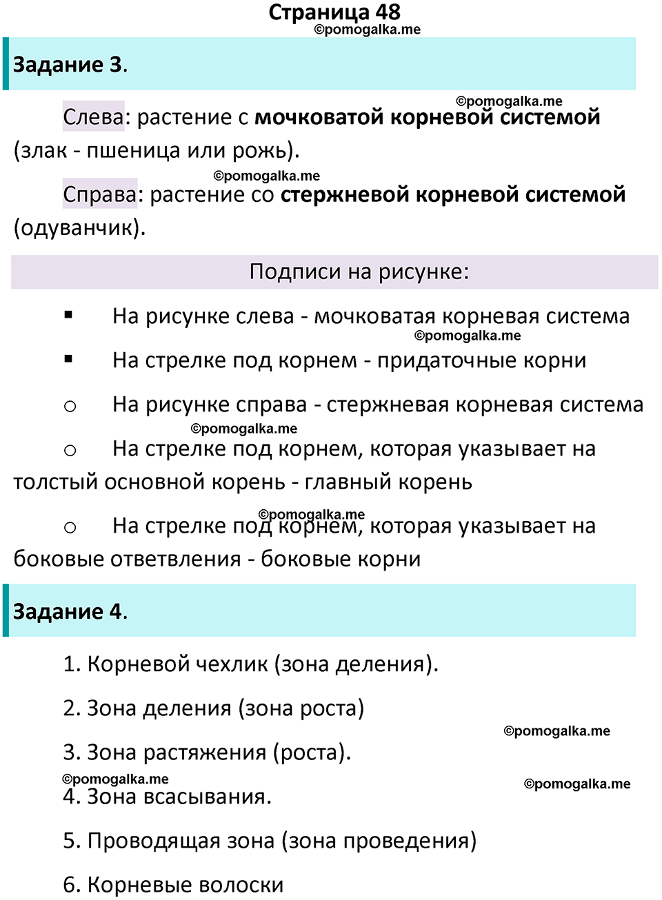 страница 48 биология 6 класс Пасечник, Суматохин рабочая тетрадь 2024 год