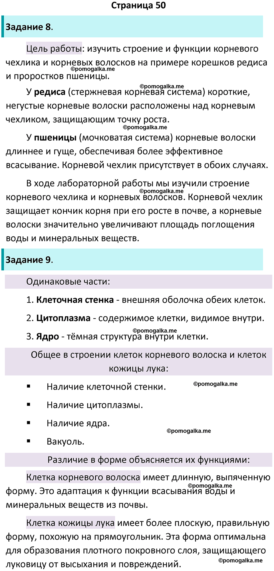 страница 50 биология 6 класс Пасечник, Суматохин рабочая тетрадь 2024 год