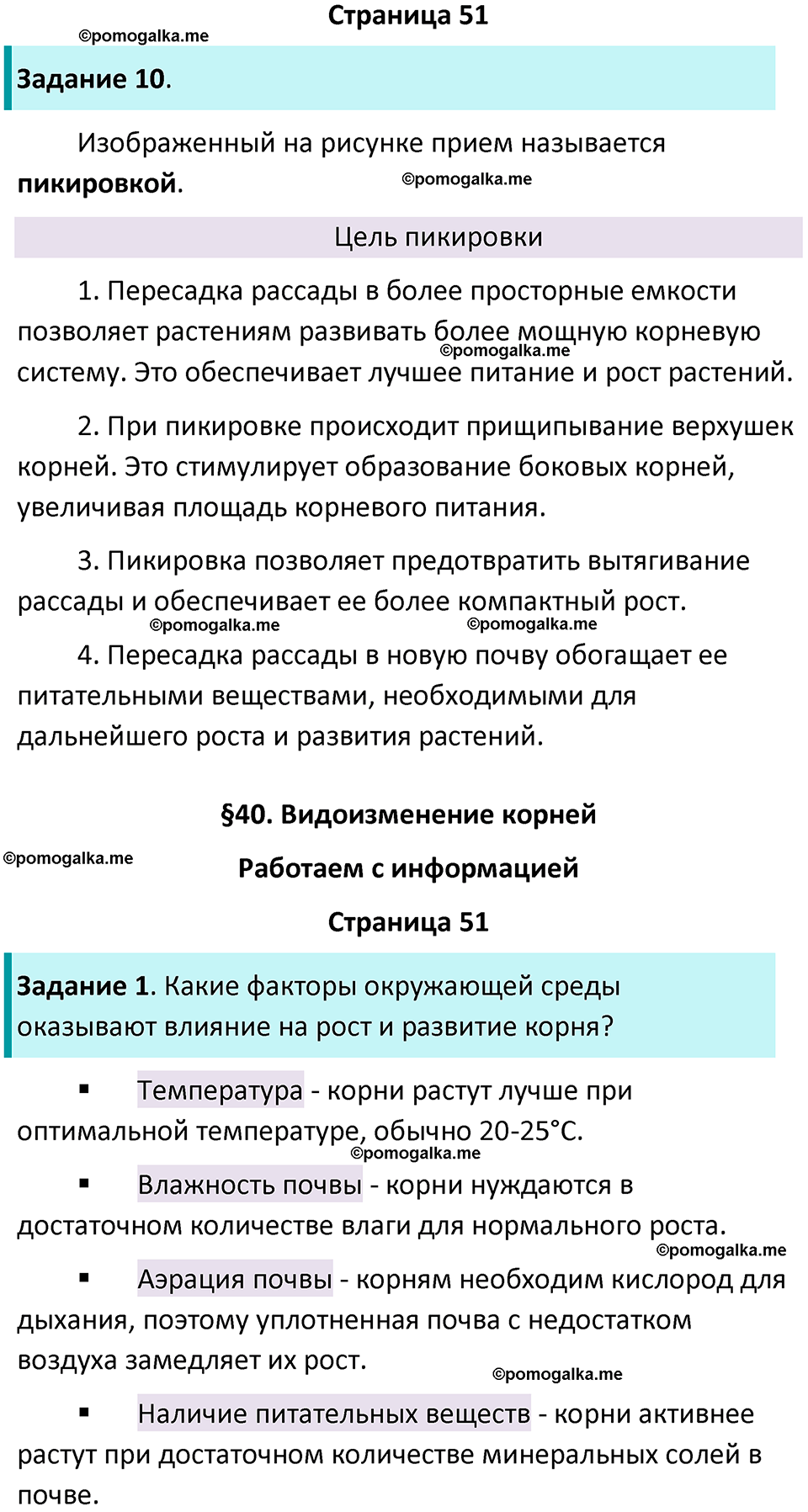 страница 51 биология 6 класс Пасечник, Суматохин рабочая тетрадь 2024 год