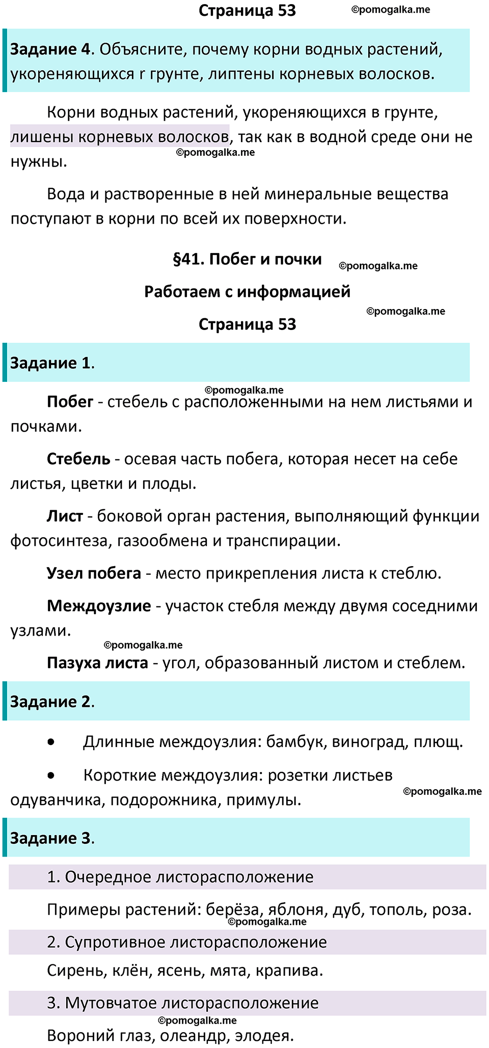 страница 53 биология 6 класс Пасечник, Суматохин рабочая тетрадь 2024 год