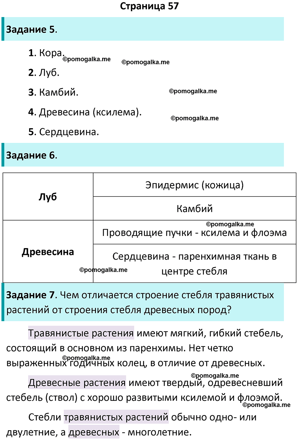 страница 57 биология 6 класс Пасечник, Суматохин рабочая тетрадь 2024 год