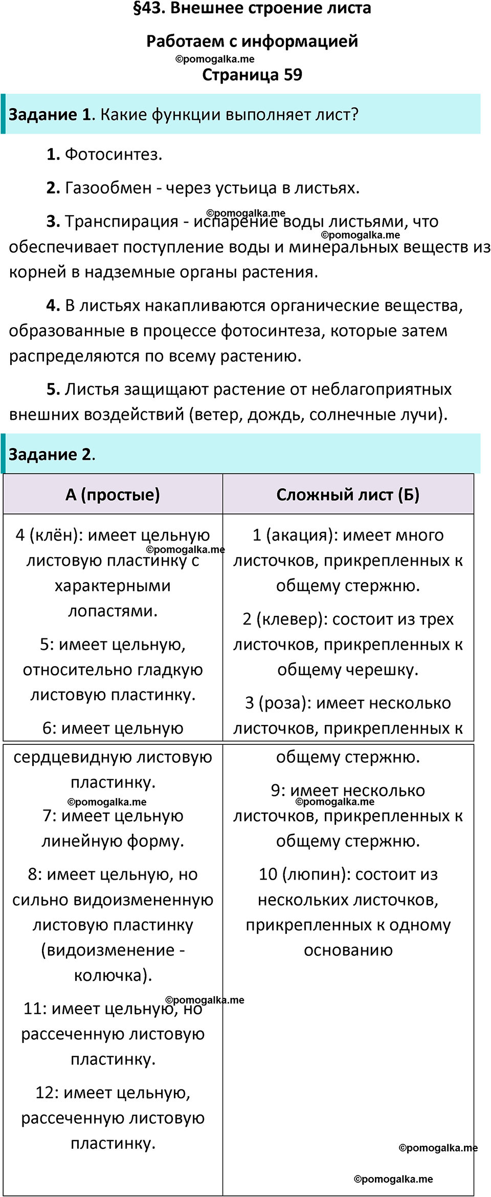 страница 59 биология 6 класс Пасечник, Суматохин рабочая тетрадь 2024 год