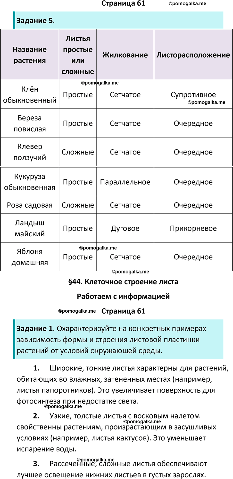 страница 61 биология 6 класс Пасечник, Суматохин рабочая тетрадь 2024 год