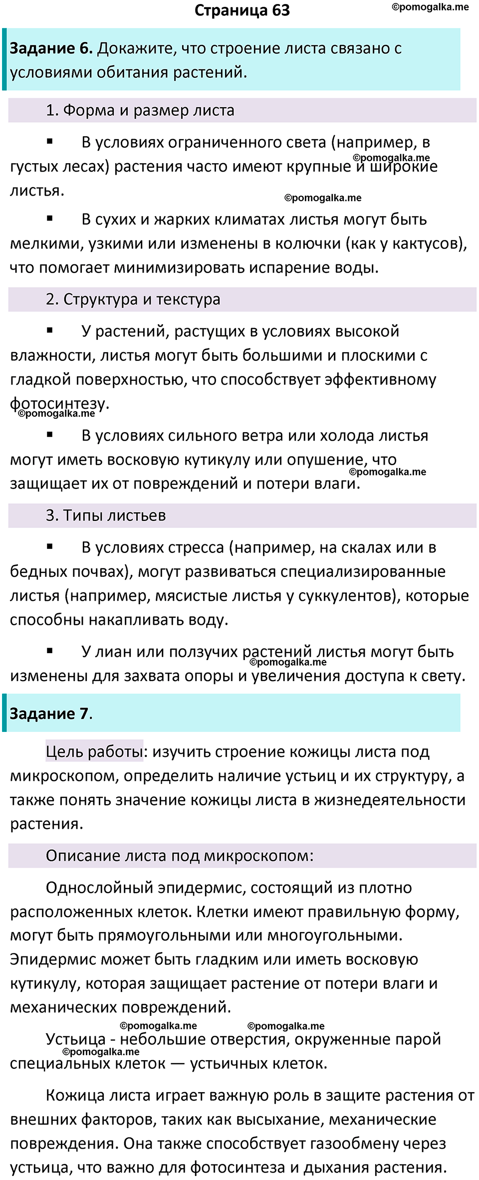страница 63 биология 6 класс Пасечник, Суматохин рабочая тетрадь 2024 год