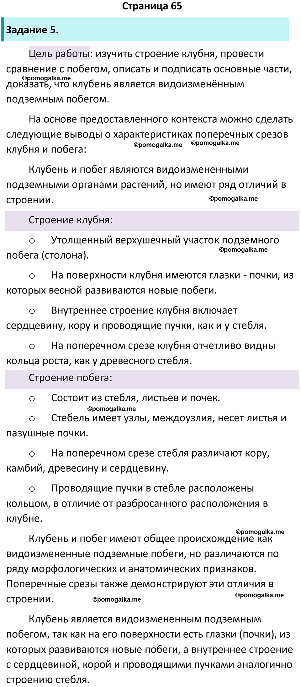 страница 65 биология 6 класс Пасечник, Суматохин рабочая тетрадь 2024 год