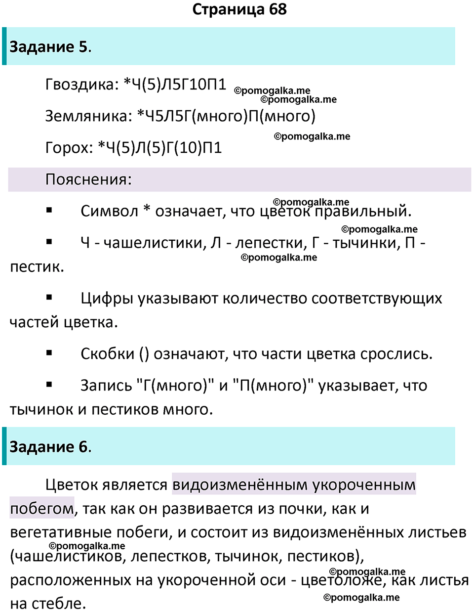страница 68 биология 6 класс Пасечник, Суматохин рабочая тетрадь 2024 год