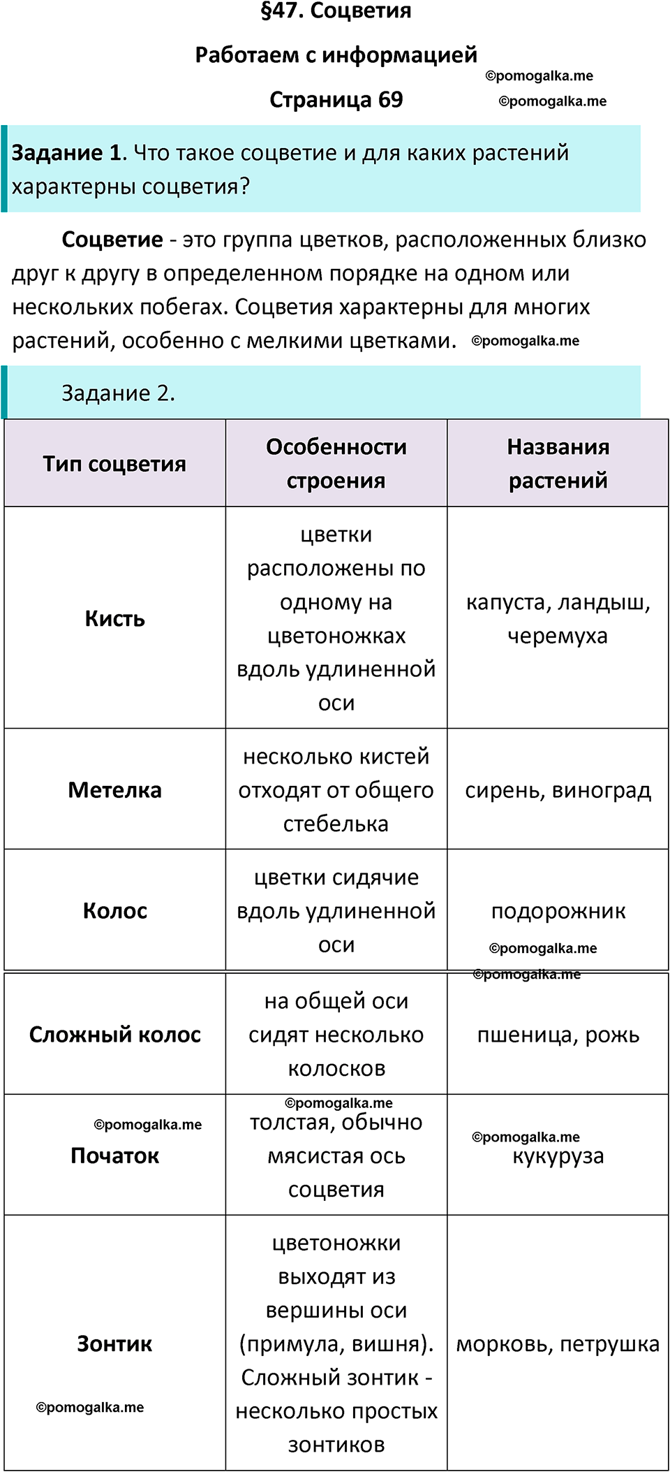страница 69 биология 6 класс Пасечник, Суматохин рабочая тетрадь 2024 год