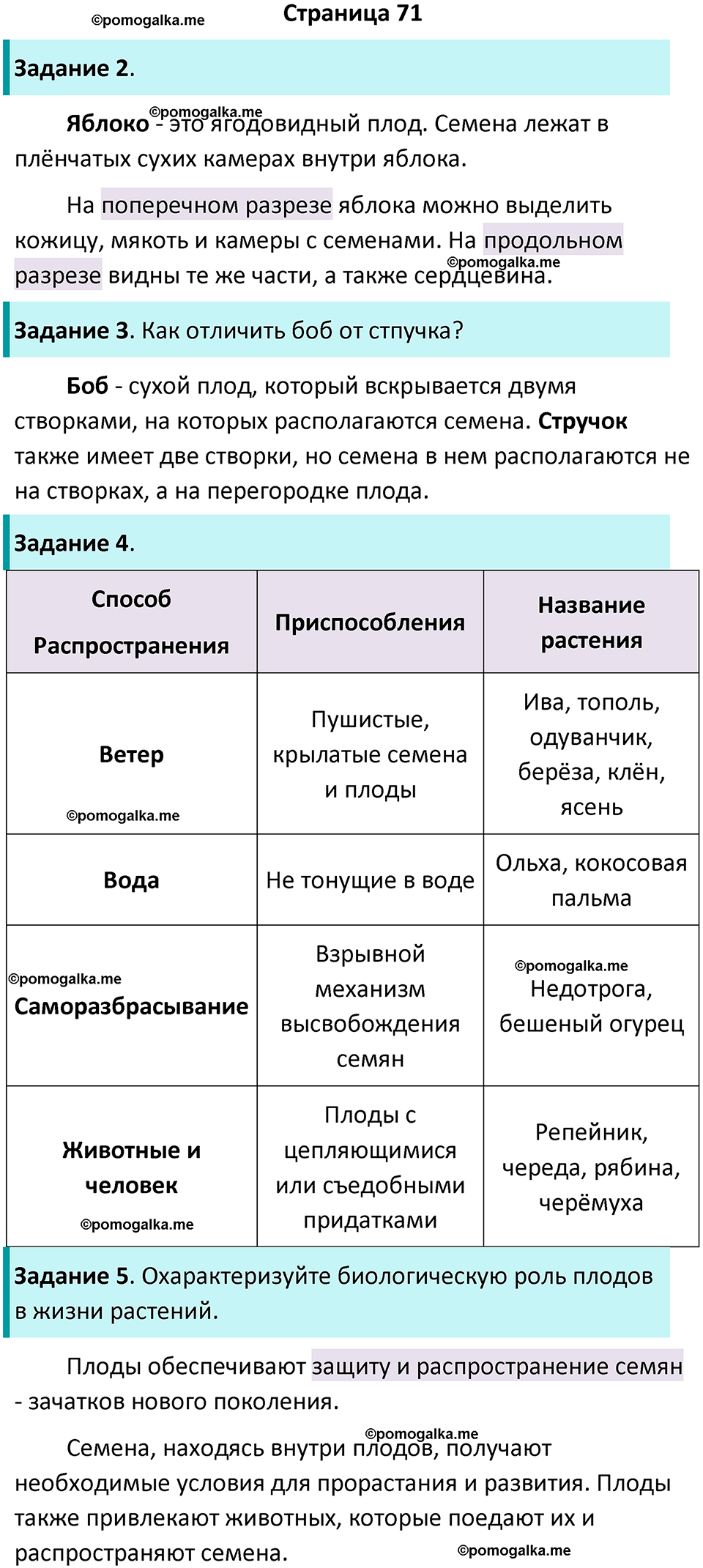 страница 71 биология 6 класс Пасечник, Суматохин рабочая тетрадь 2024 год