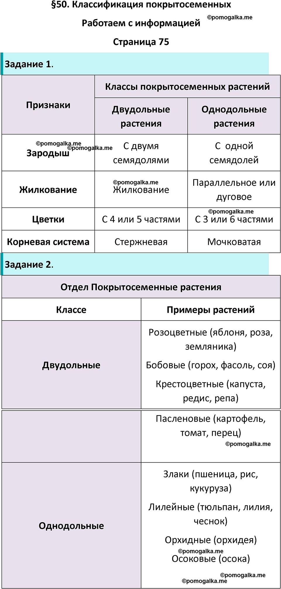 страница 75 биология 6 класс Пасечник, Суматохин рабочая тетрадь 2024 год