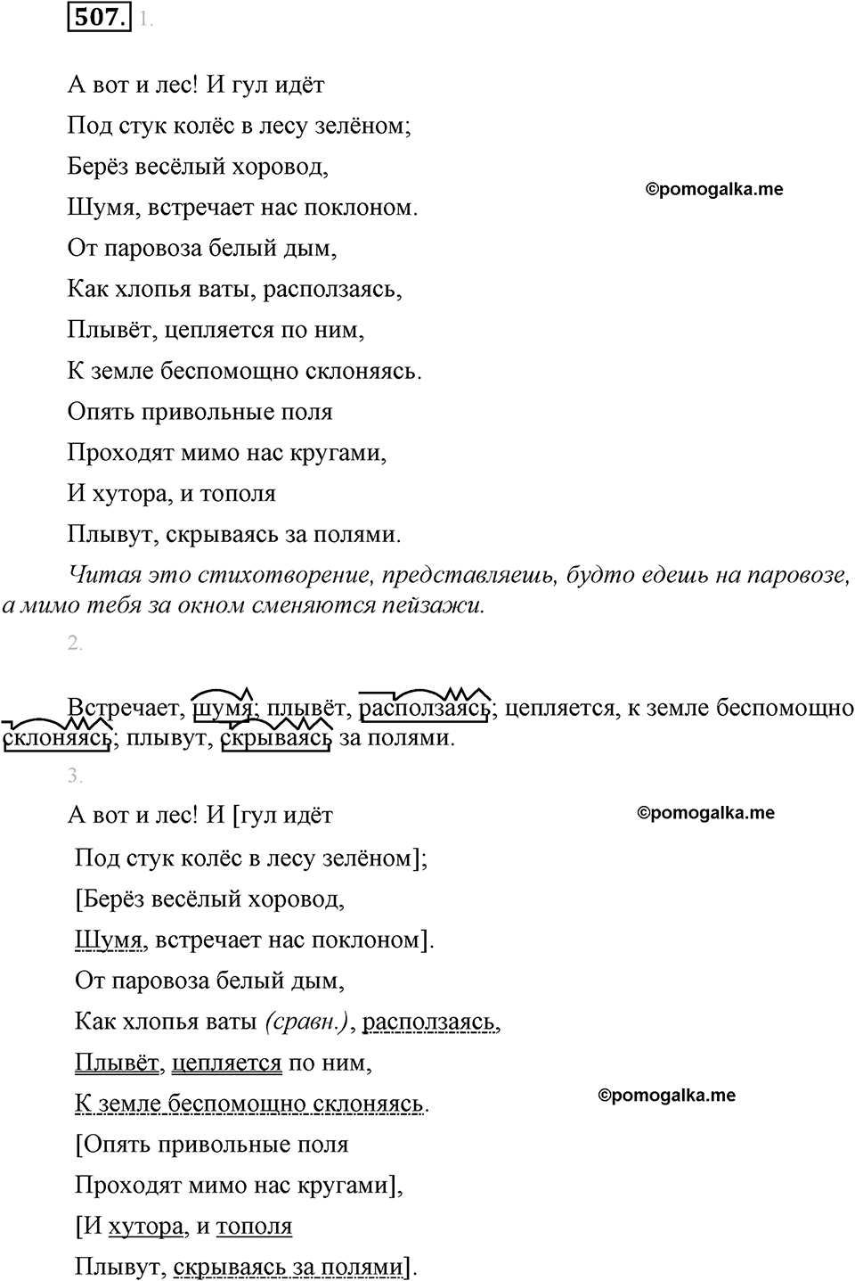 упражнение №507 русский язык 6 класс Разумовская, Львова, Капинос
