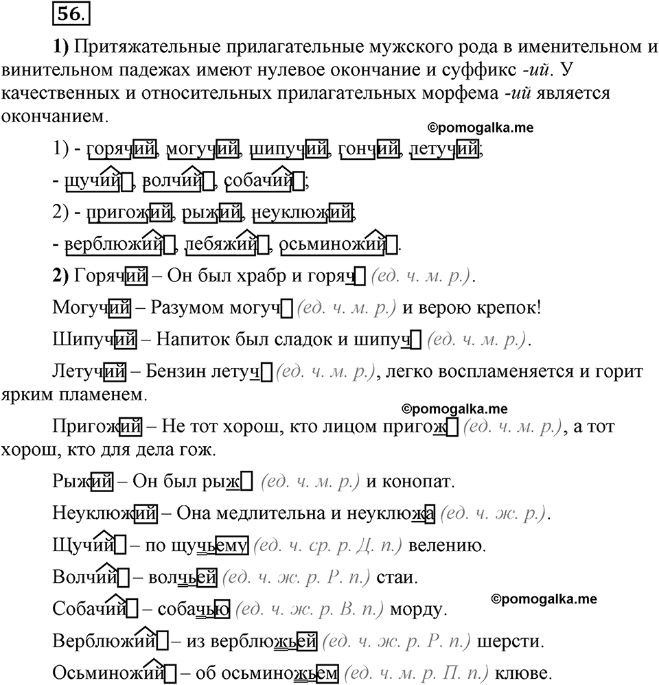 Глава 1. Упражнение №56 русский язык 6 класс Шмелёв