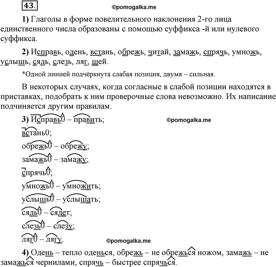 Глава 2. Упражнение №43 русский язык 6 класс Шмелёв