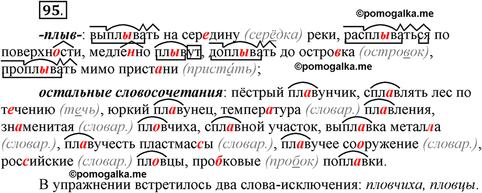 Глава 2. Упражнение №95 русский язык 6 класс Шмелёв