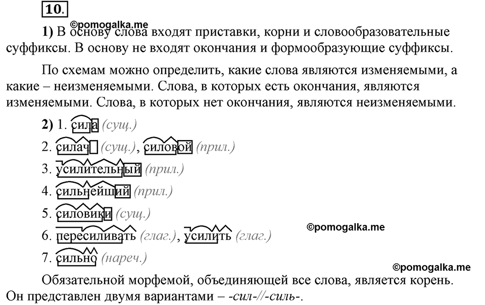Глава 3. Упражнение №10 русский язык 6 класс Шмелёв